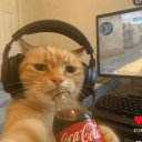 coopervvella